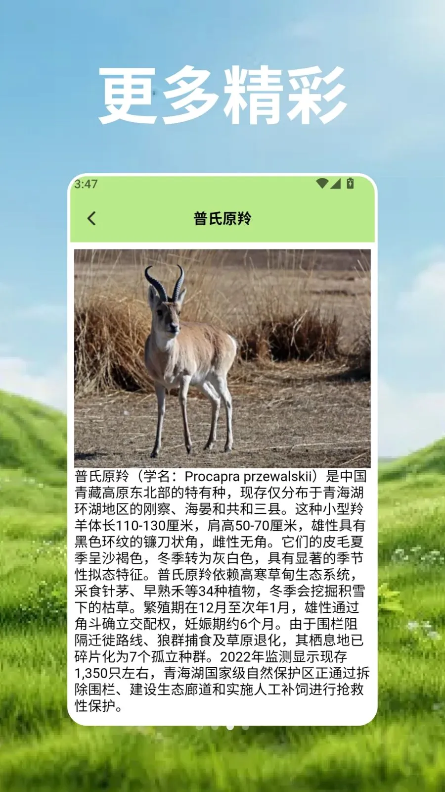 ��Ⱥ�Ŀ�ѧ��(����֪ʶӦ��)v2.3 �ٷ������ͼ2