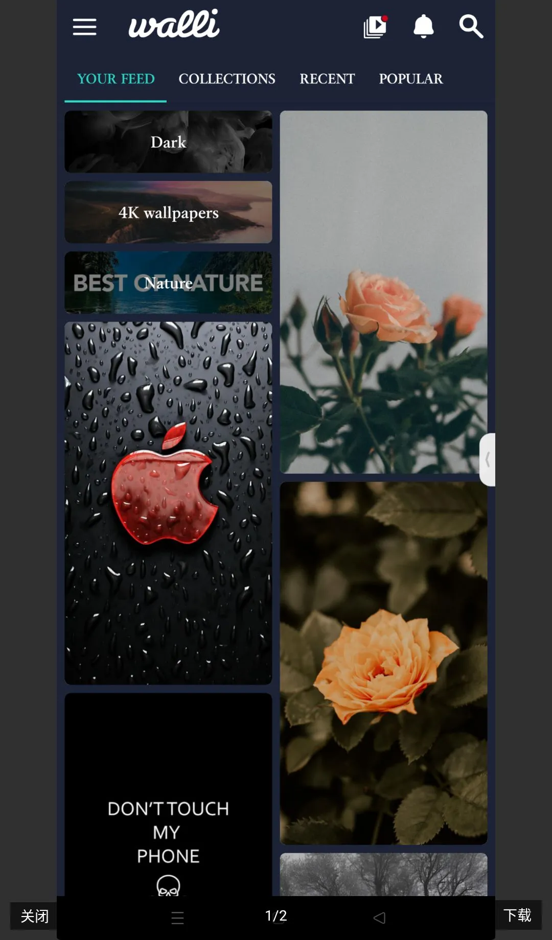 Walli 4K�����߼�����(�����ֽ����)v2.13.1 �ٷ������ͼ0