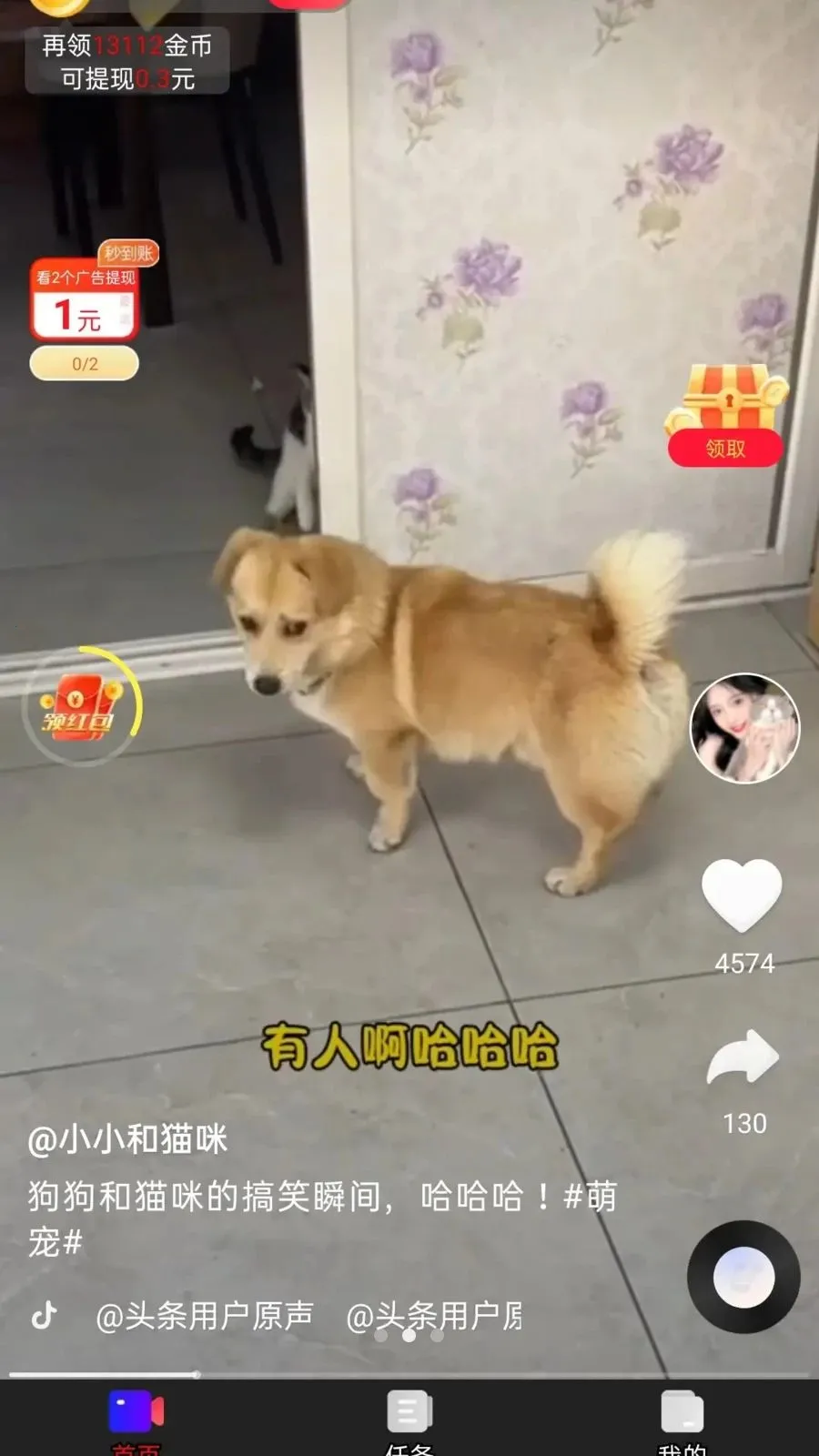 ��ӯ����2026���°汾v1.0.1 ��Ѱ��ͼ1