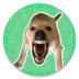�󹷽�������(��Ч������ť)