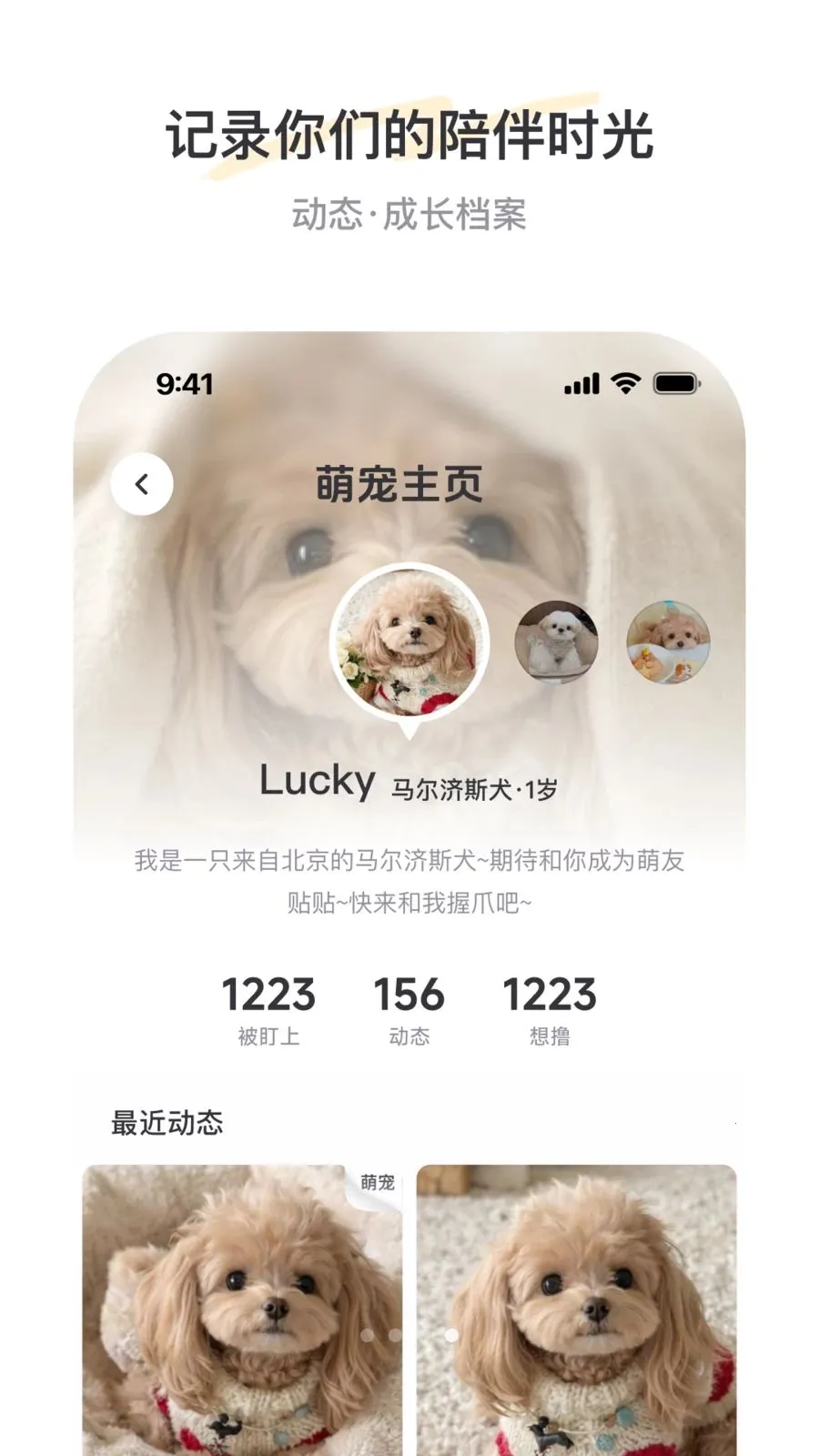 PetSpace(�ȳ��罻ƽ̨)v2.3.1 �ֻ����ͼ1