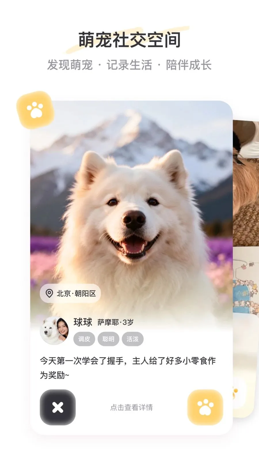 PetSpace(�ȳ��罻ƽ̨)v2.3.1 �ֻ����ͼ3