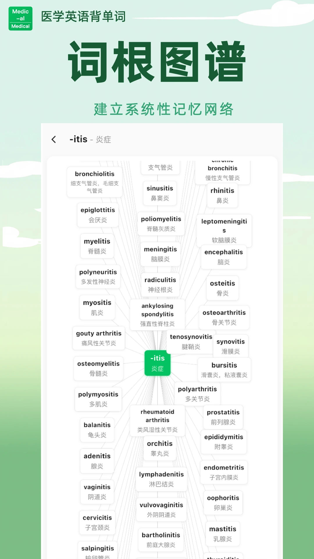 ҽѧӢ�ﱳ����(ҽѧ����ѧϰ��)v1.6.68 �ֻ����ͼ3
