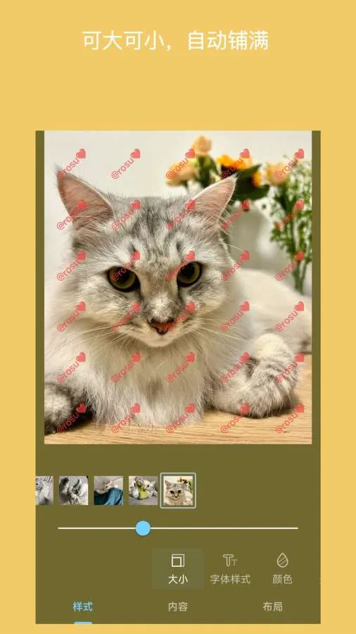 ��ˮӡ��Ƭ2026�ٷ����°汾v6.0705.7 ��׿���ͼ2