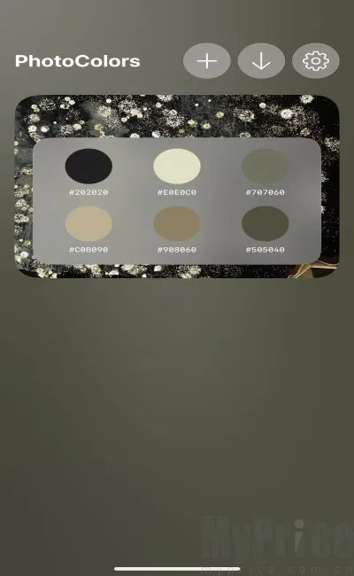 PhotoColors2026官方最新版本 PhotoColors2026官方最新版本