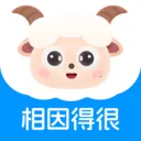 ����׿���ֻ���