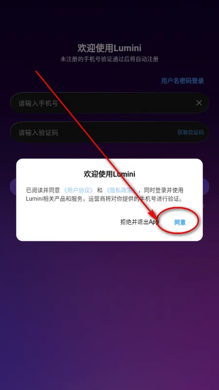 Lumini(角色互动陪伴) Lumini(角色互动陪伴)