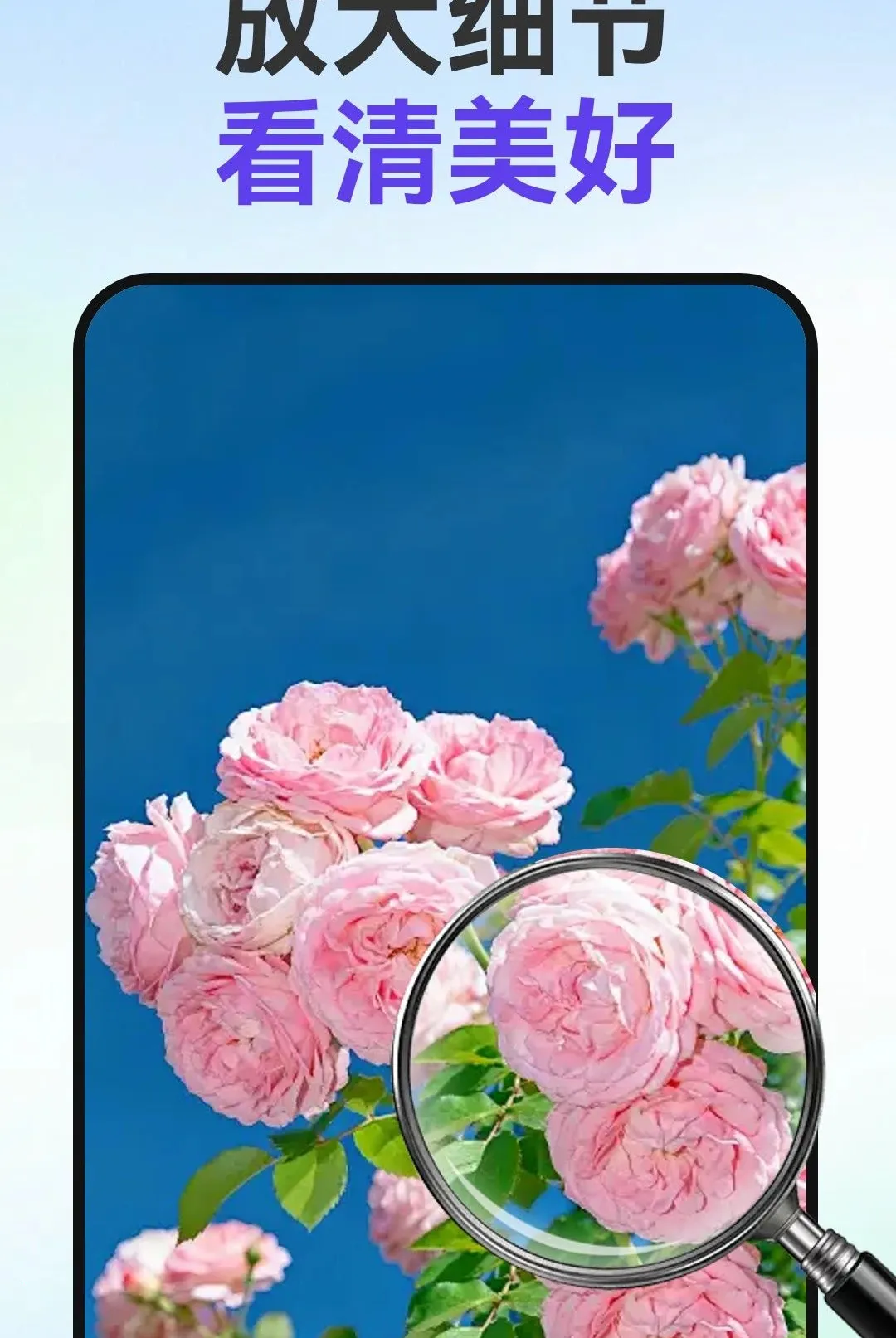 С�ַŴ�2026�ٷ�����v1.0.1 ��Ѱ��ͼ0