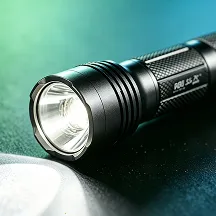 ���������ֵ�Ͳ����2026�ٷ�����