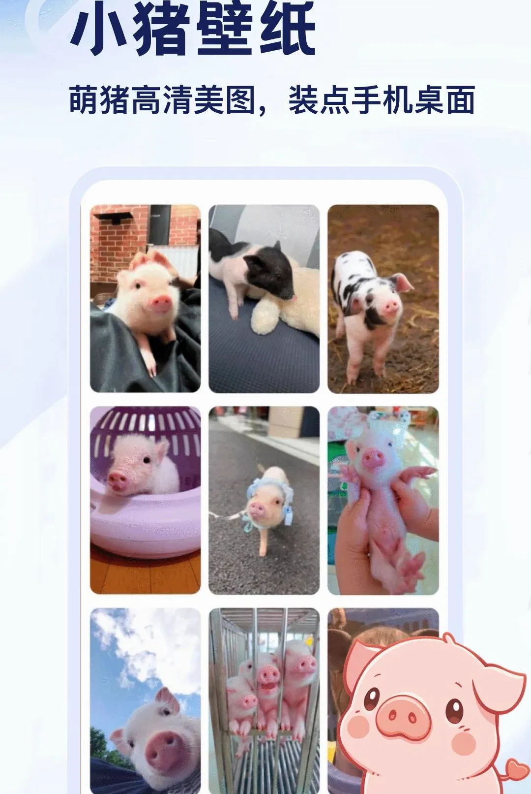 ����APP2026���°汾v5.2 ��Ѱ��ͼ1