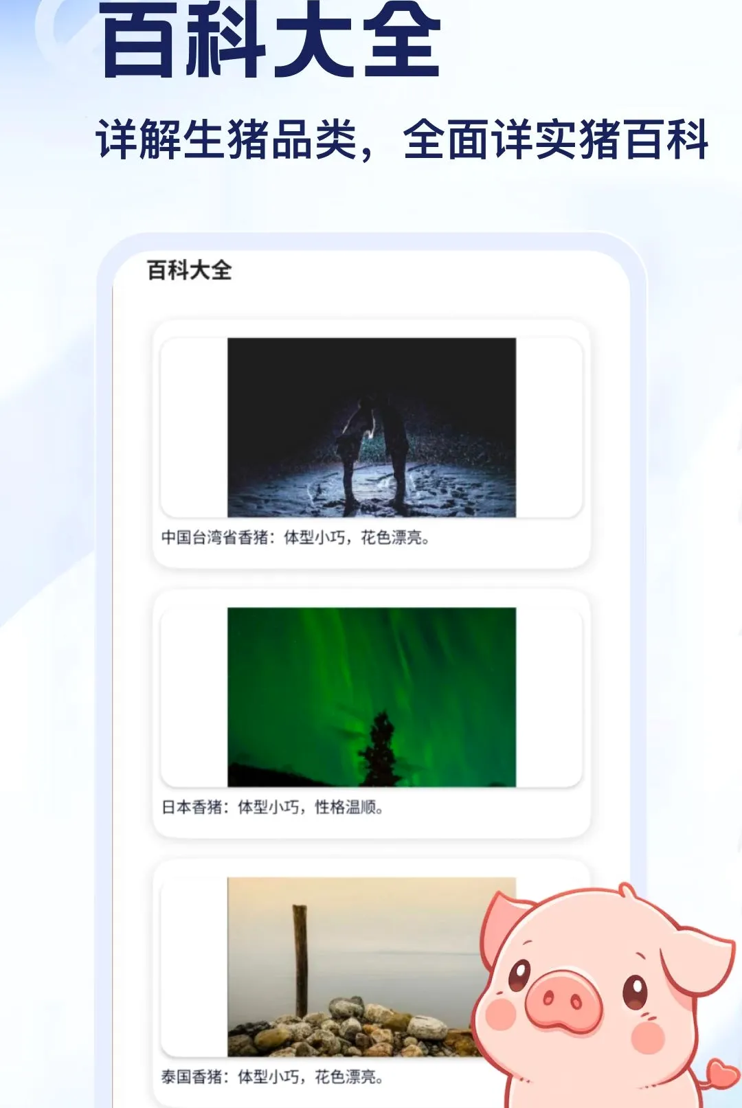 ����APP2026���°汾v5.2 ��Ѱ��ͼ2